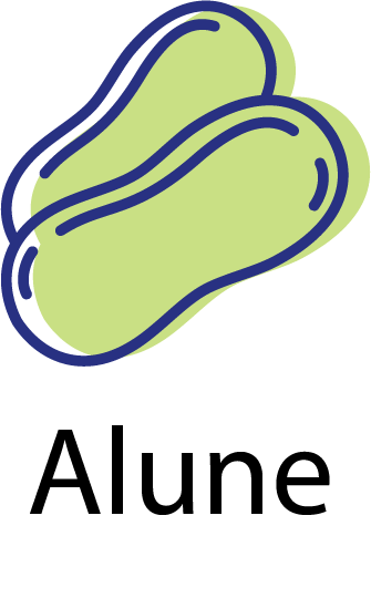 Alergeni - Alune - B