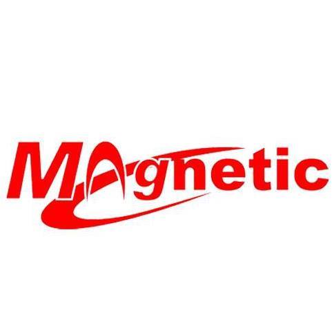 Logo Magnetic